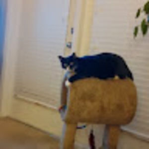 Meet your Posher, D. christine